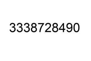 3338728490
