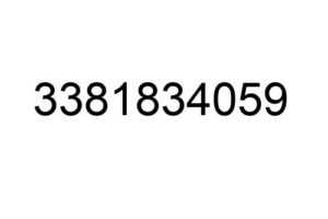 3381834059