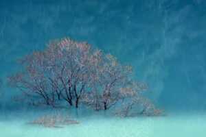 can pregnant woman take cozotaijin