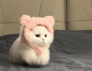 cilxarhu677 moisturizer product