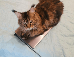 game evebiohaztech pc