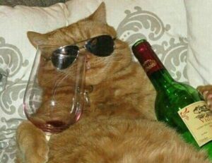 gdtj45 builder software code development