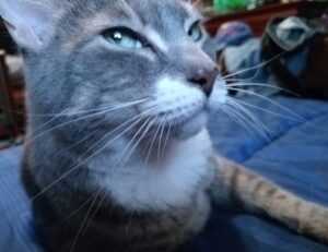 how does endbugflow software work