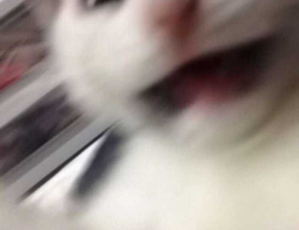 how hcs 411gits software built