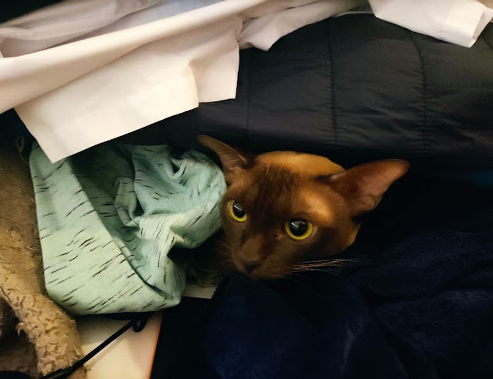 how to install mozillod5.2f5