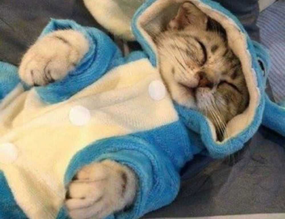 is honzava5 game good for students