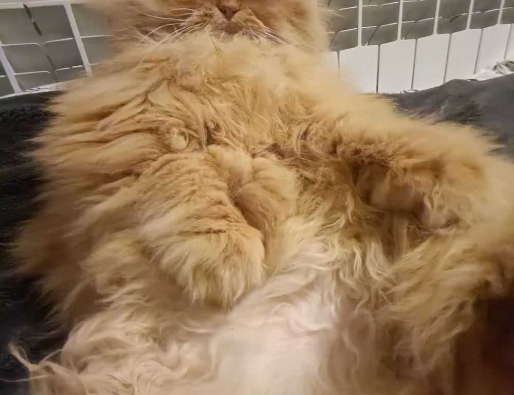 playing returnalgirl