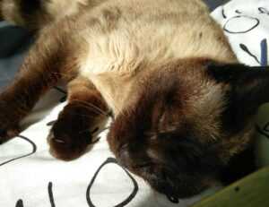 what is application in zillexit software