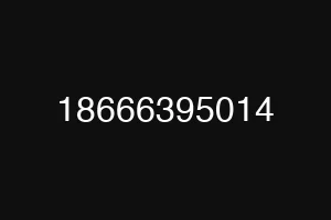 18666395014