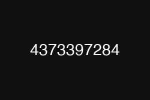 4373397284