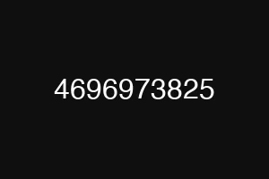 4696973825