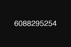 6088295254