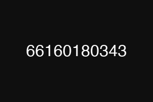66160180343