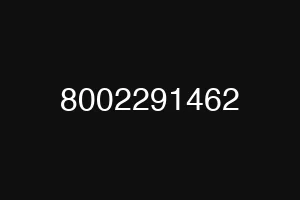 8002291462