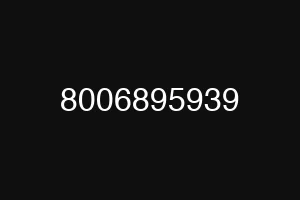 8006895939