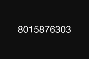 8015876303