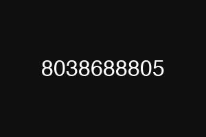 8038688805