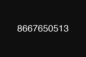 8667650513