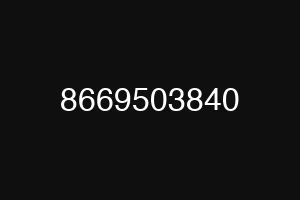 8669503840