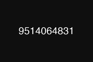 9514064831