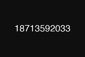 18713592033