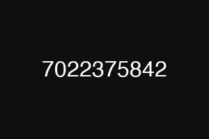 7022375842