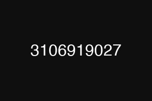 3106919027
