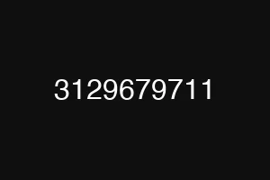 3129679711