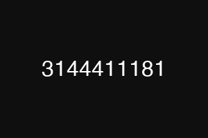 3144411181