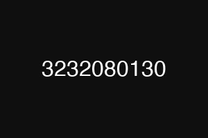 3232080130