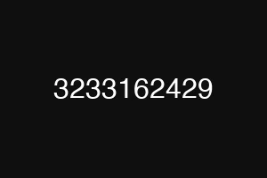 3233162429
