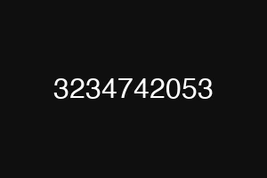 3234742053