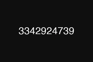 3342924739