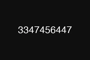 3347456447