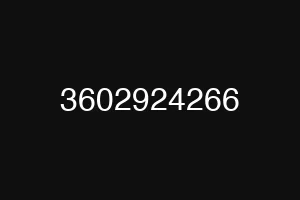 3602924266