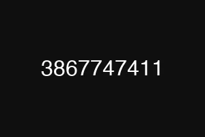 3867747411