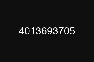 4013693705