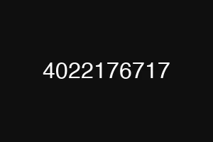4022176717