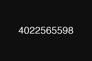 4022565598