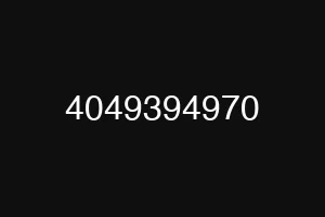 4049394970