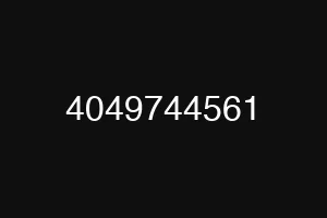 4049744561