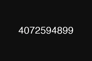 4072594899