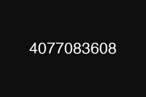 4077083608