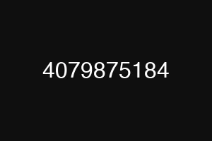 4079875184