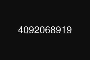4092068919
