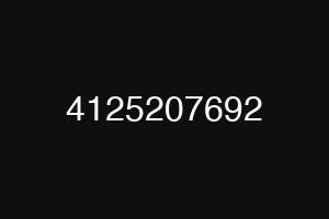 4125207692