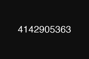 4142905363