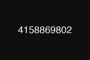 4158869802